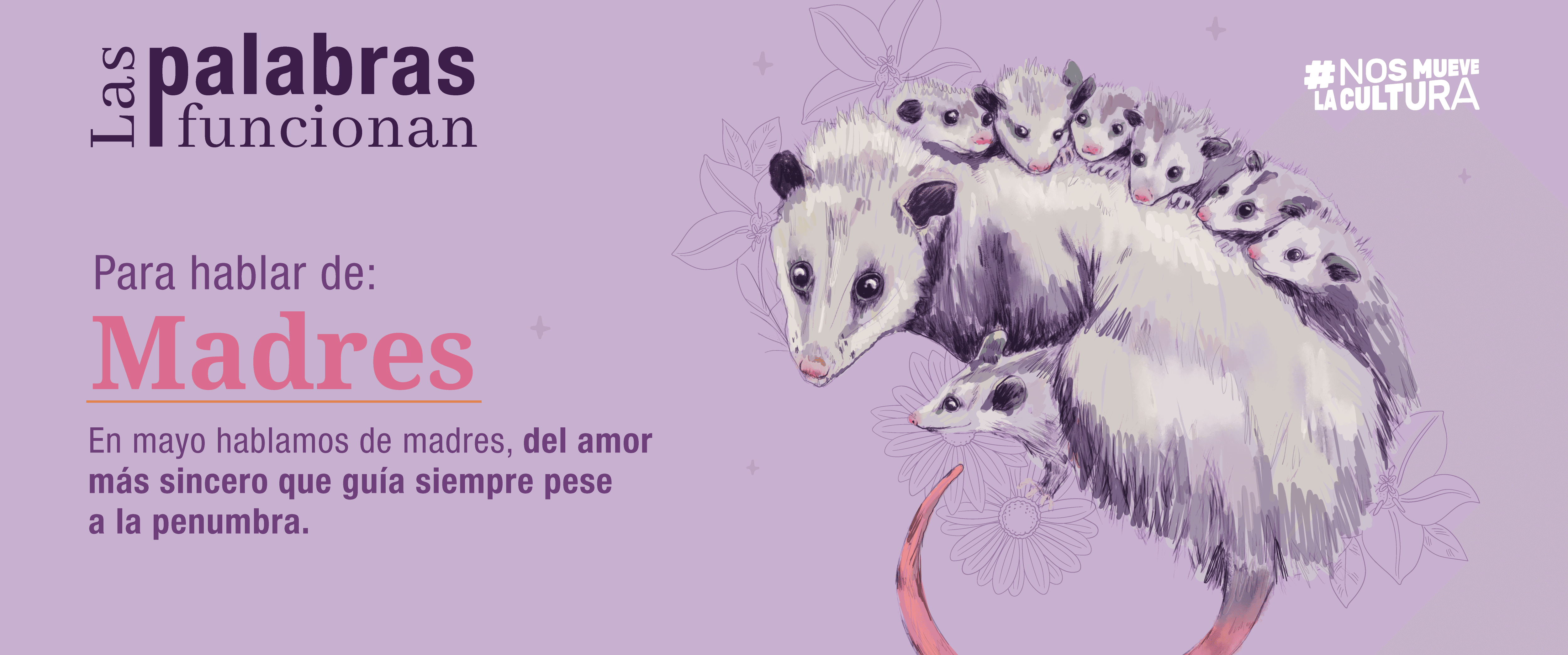 cuanto cuesta un tlacuache vivo