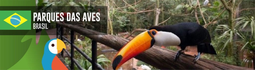cuanto cuesta un tucan