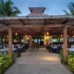 cuanto-cuesta-un-tucan-esmeralda