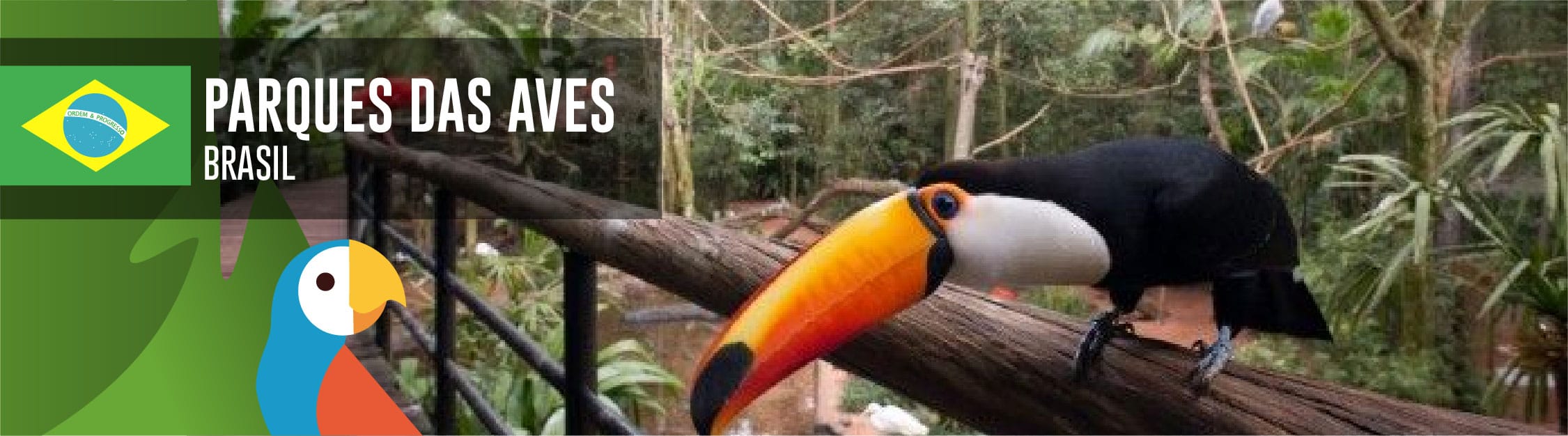 cuanto cuesta un tucan