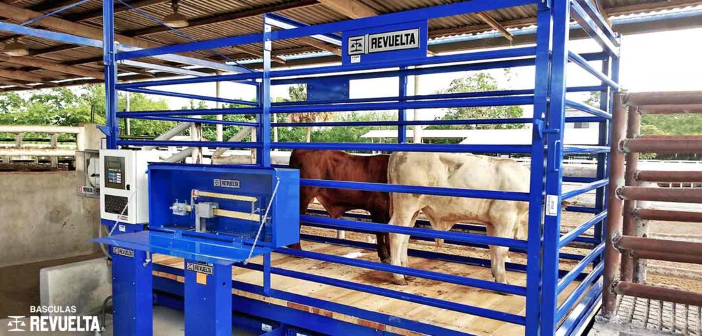 cuanto cuesta una bascula