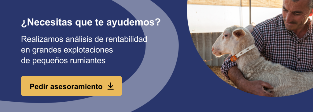 ¿Cuánto cuesta una cabra? 2 cuanto cuesta una cabra