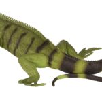 cuanto-cuesta-una-iguana