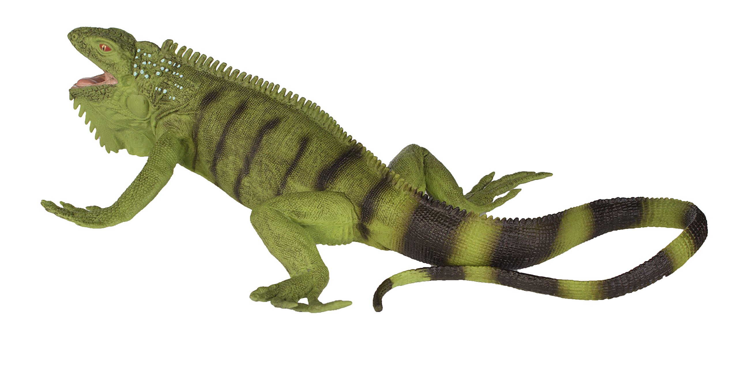 Blog 8 cuanto cuesta una iguana