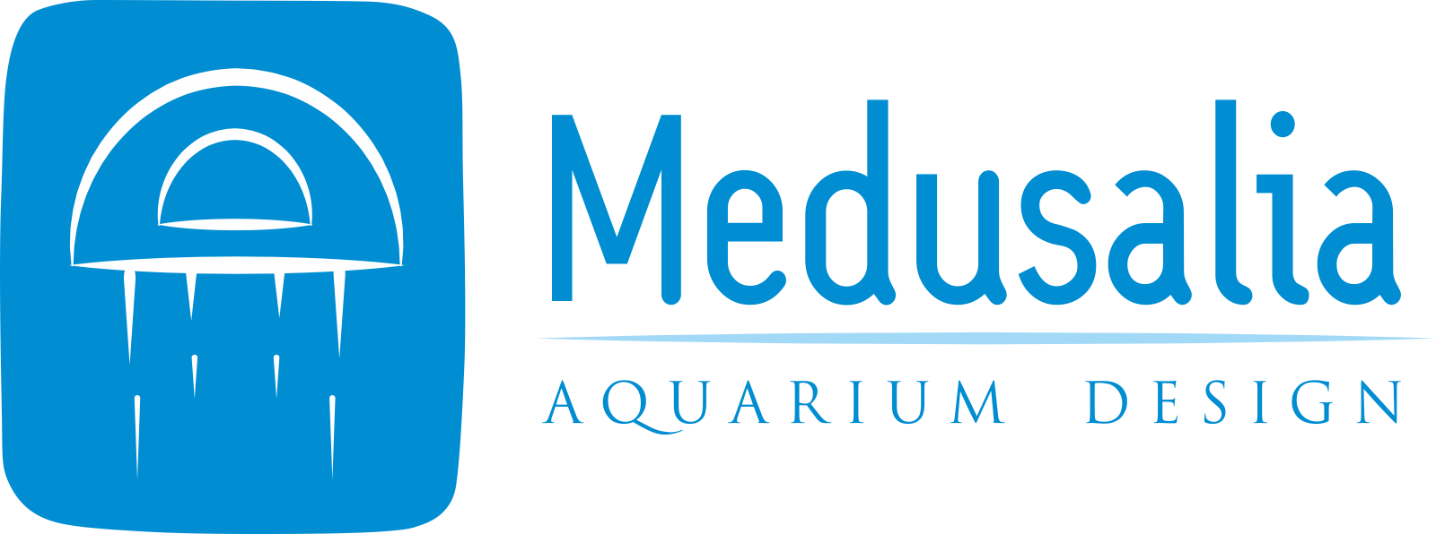 cuanto cuesta una medusa
