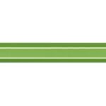 cuanto-cuesta-una-pluma