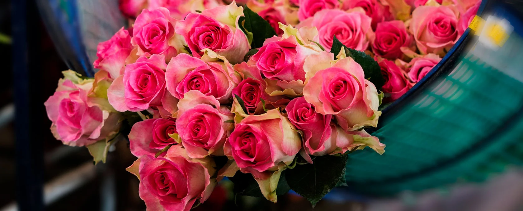 cuanto cuesta una rosa roja