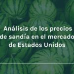 cuanto-cuesta-una-sandia