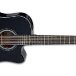 ¿Cuánto cuesta una Takamine? cuanto-cuesta-una-takamine
