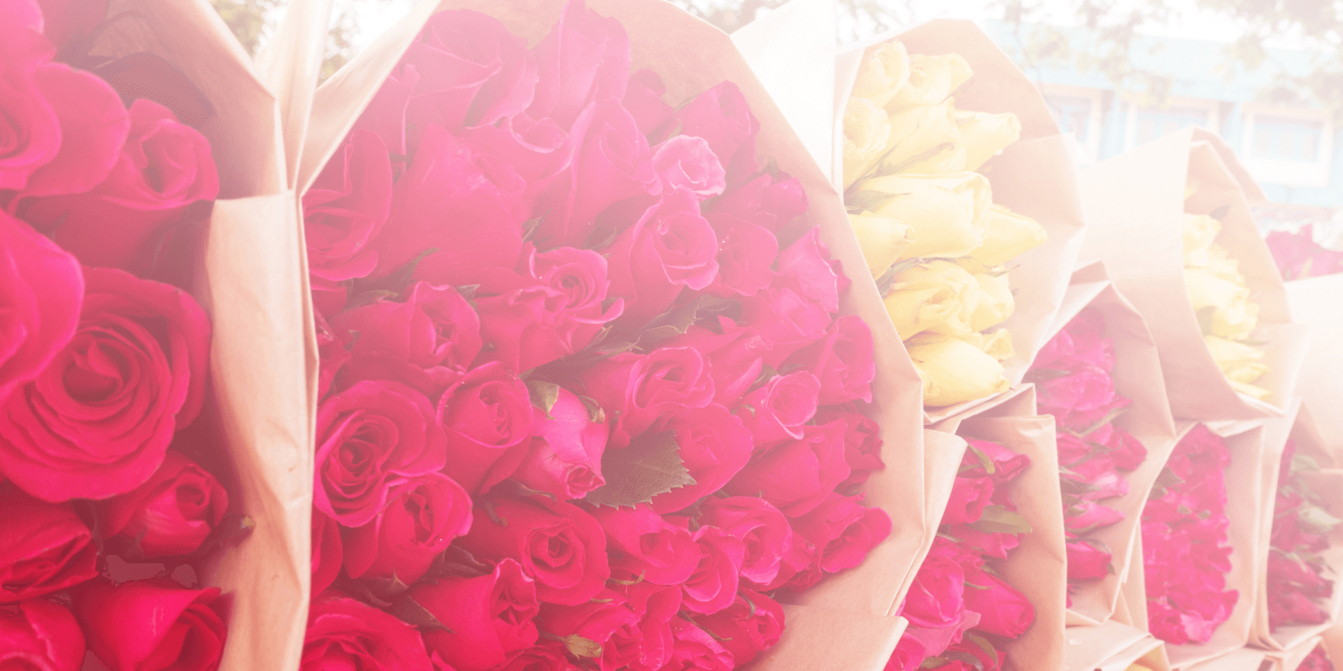 cuanto cuestan 100 rosas