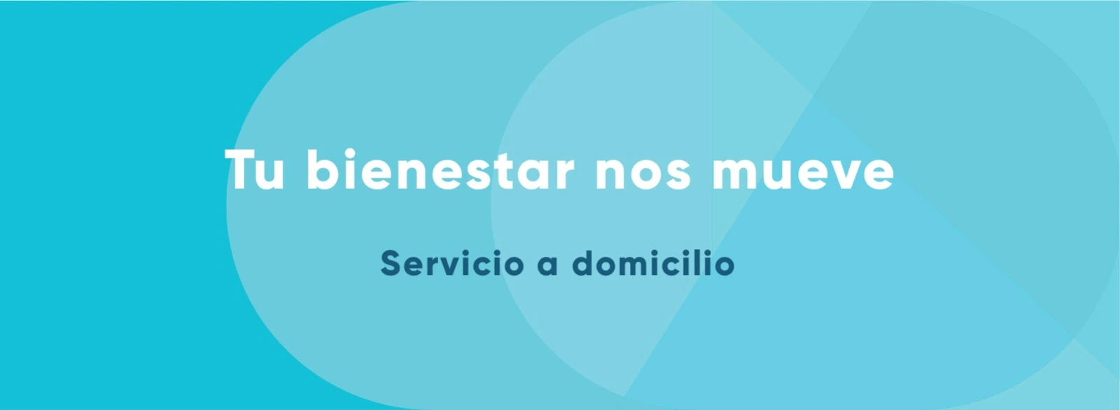Blog 2 cuanto cuestan las pastillas metafast