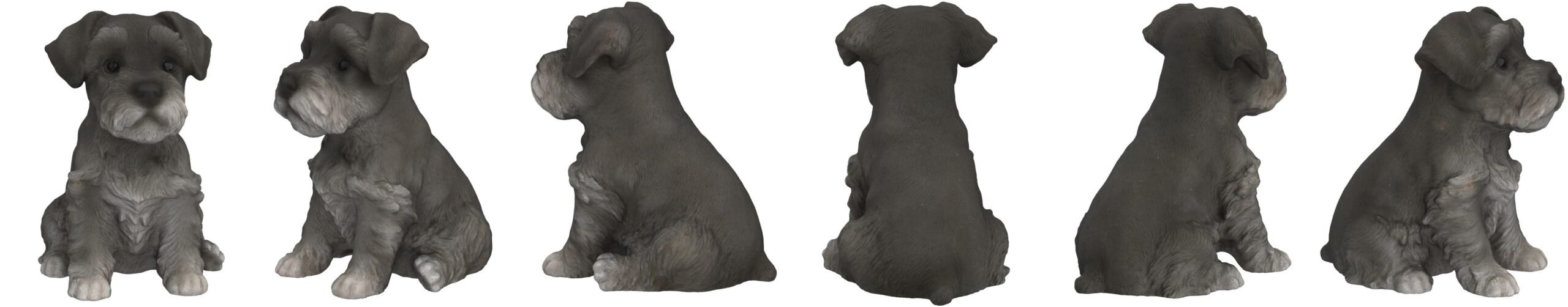 cuanto cuestan los cachorros schnauzer scaled