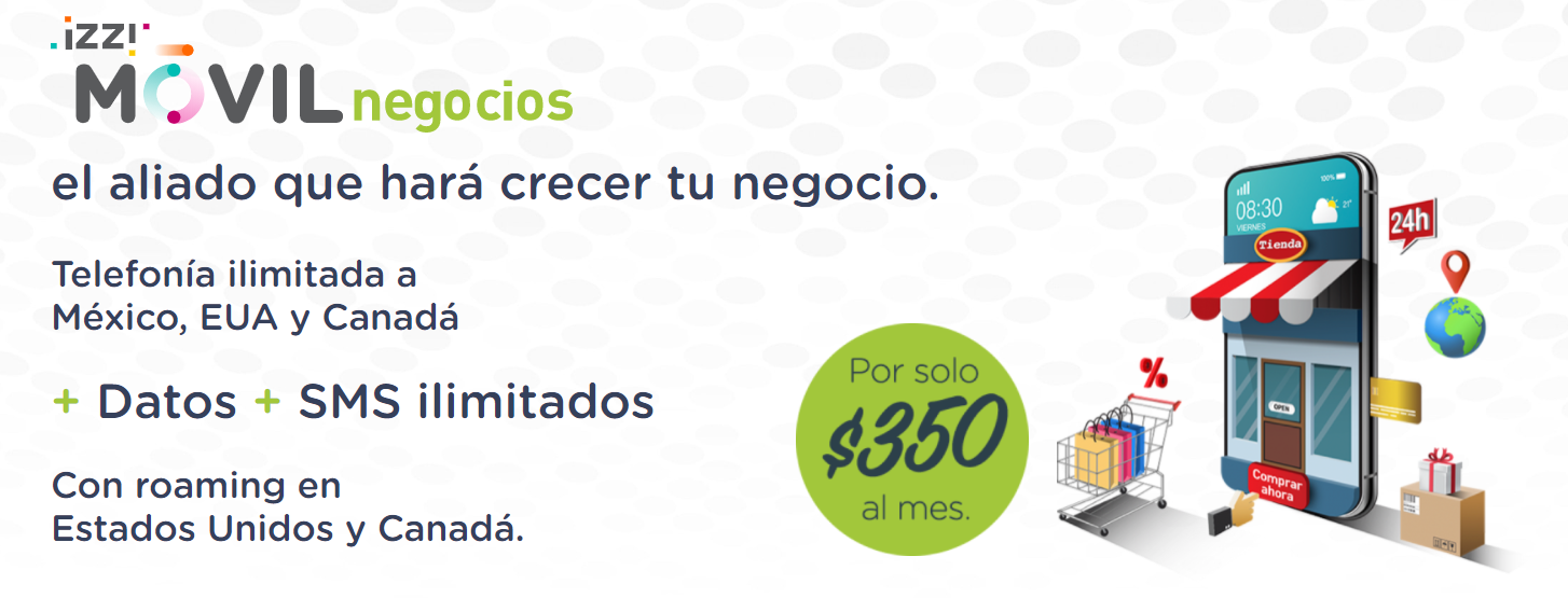 cuanto debo de internet izzi