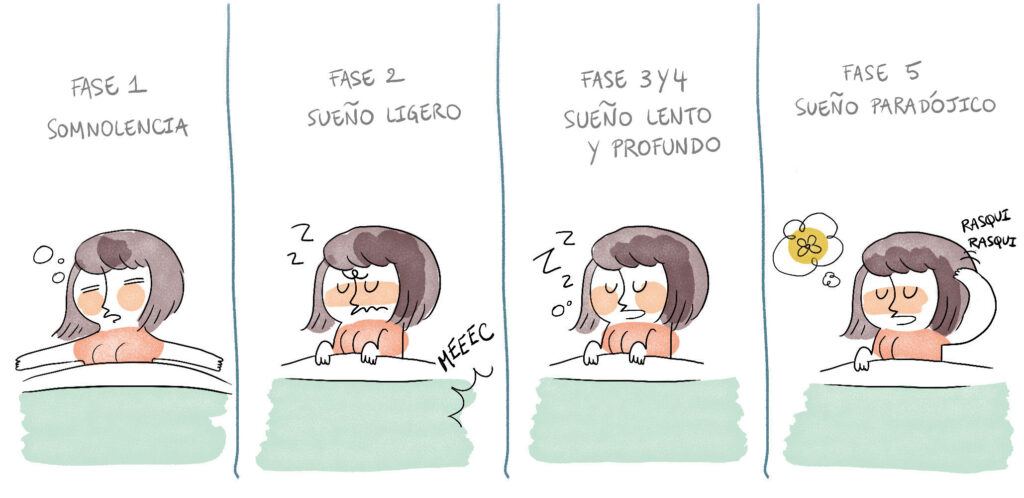 cuanto dura el sueno profundo