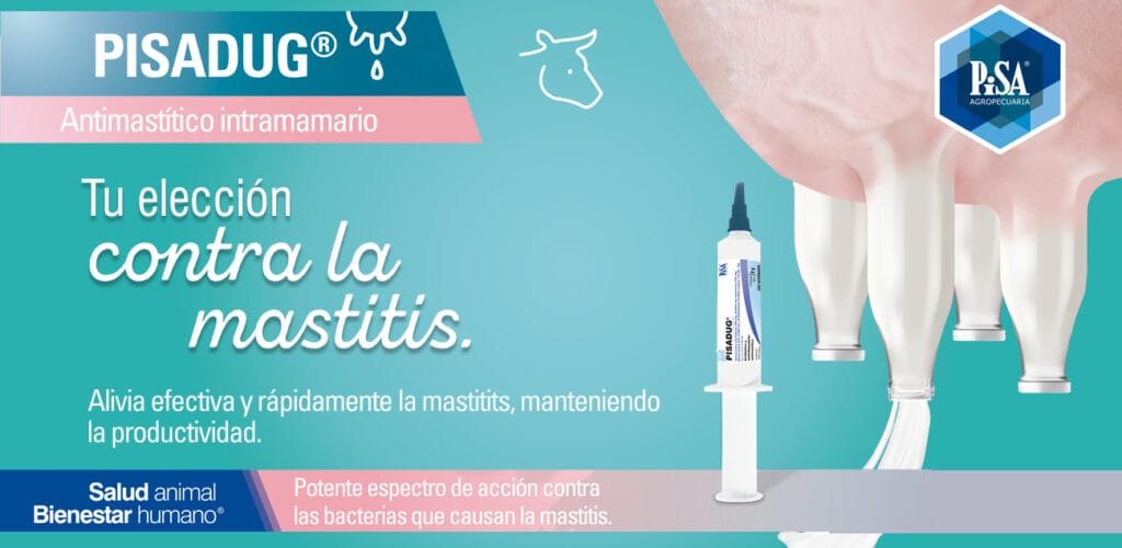 cuanto dura la mastitis