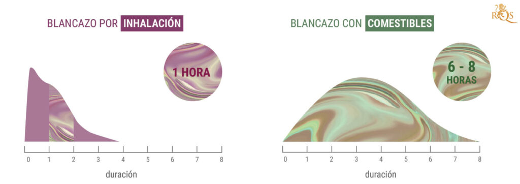 cuanto dura la palida