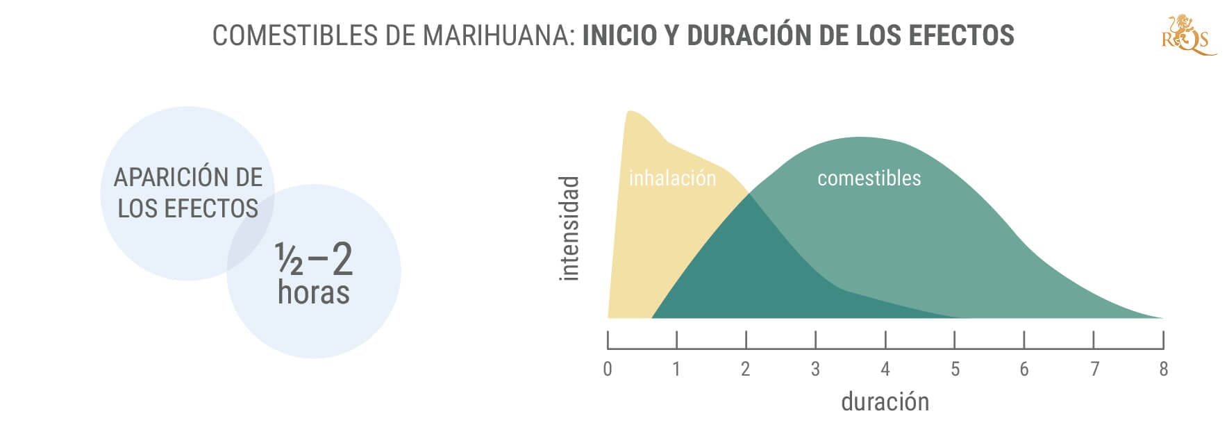 cuanto dura un brownie