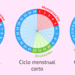 cuanto-dura-un-ciclo