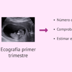 cuanto-dura-un-trimestre