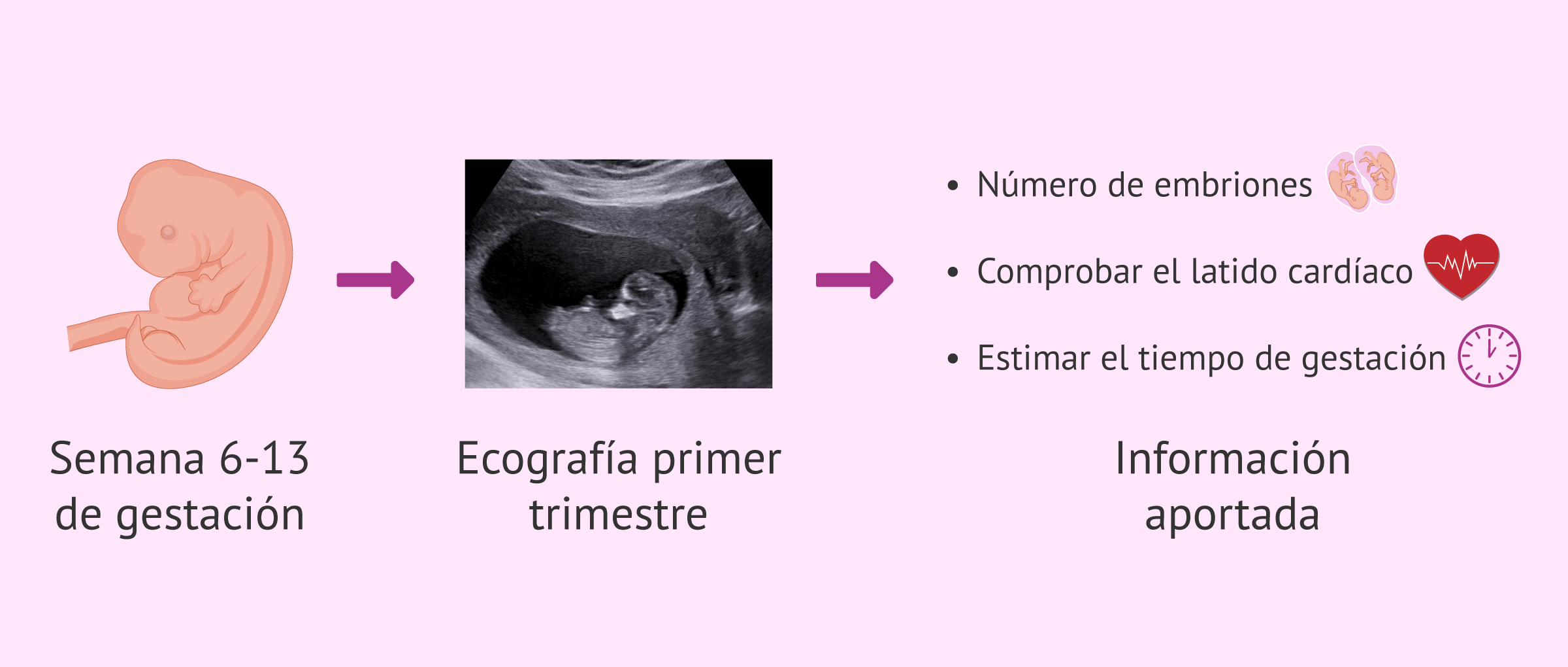 cuanto dura un trimestre