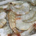 cuanto-duran-los-camarones-congelados