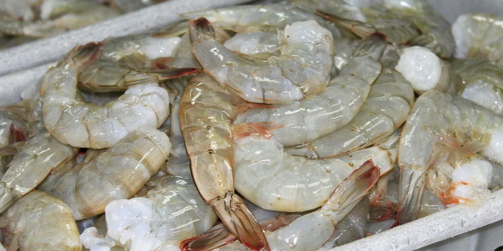 cuanto duran los camarones congelados