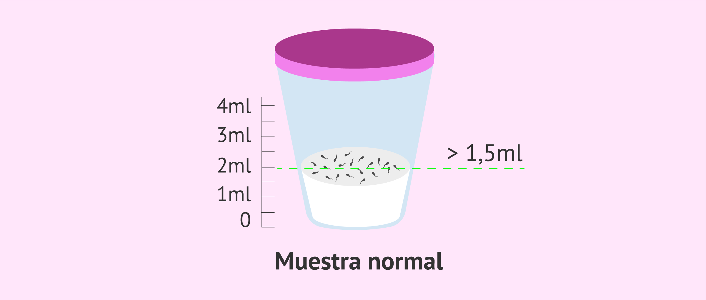 cuanto es 1