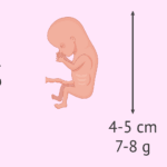 Cuánto es 11 por 11? cuanto-es-11-por-11