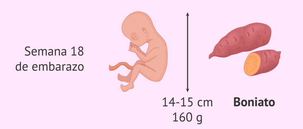 ¿Cuánto es 15 gramos? 2 cuanto es 15 gramos