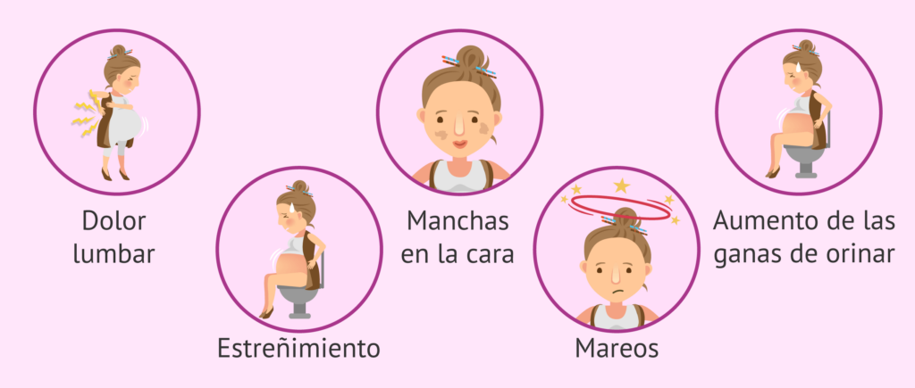 cuanto es 18 meses