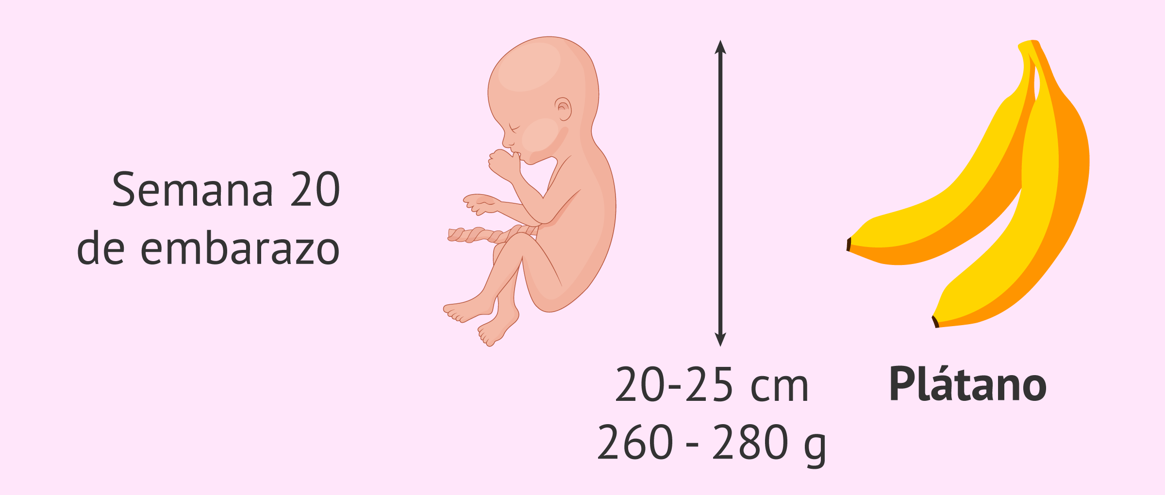 Blog 2 cuanto es 20 gramos