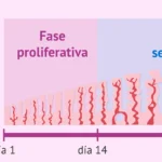 ¿Cuánto es 20mm en centímetros? cuanto-es-20mm-en-centimetros