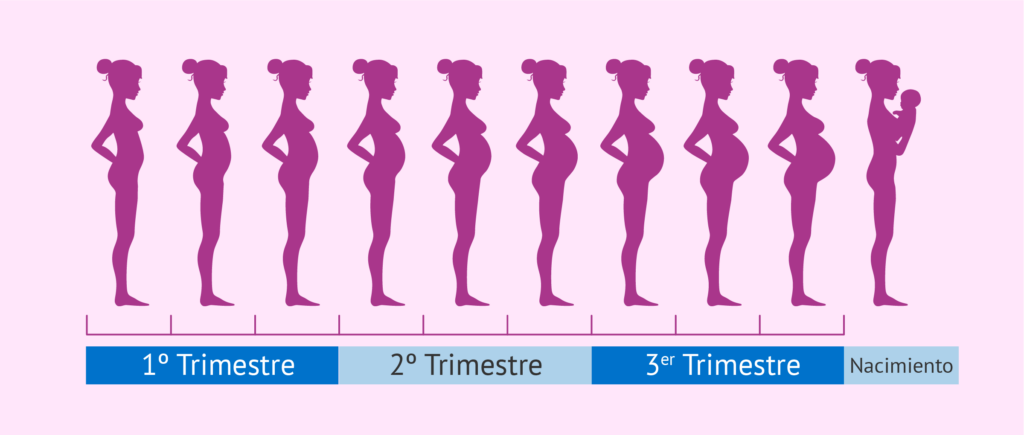 cuanto es 48 meses