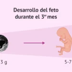 cuanto-es-59-meses