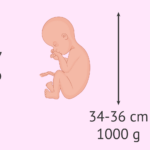 cuanto-es-72-meses