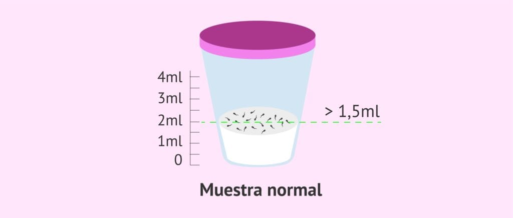 ¿Cuánto es 80 mililitros? 2 cuanto es 80 mililitros