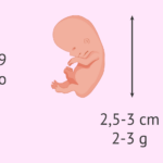 ¿Cuánto es 9 por 6? cuanto-es-9-por-6