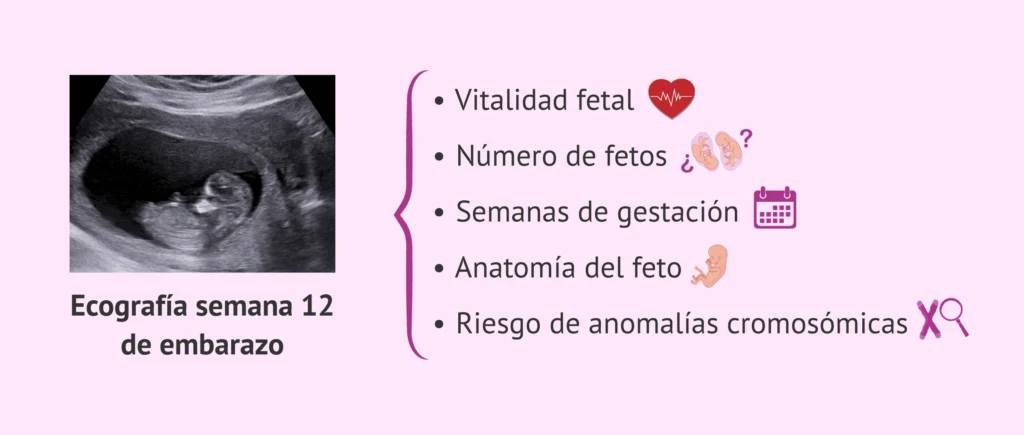 ¿Cuánto es el 12? 2 cuanto es el 12