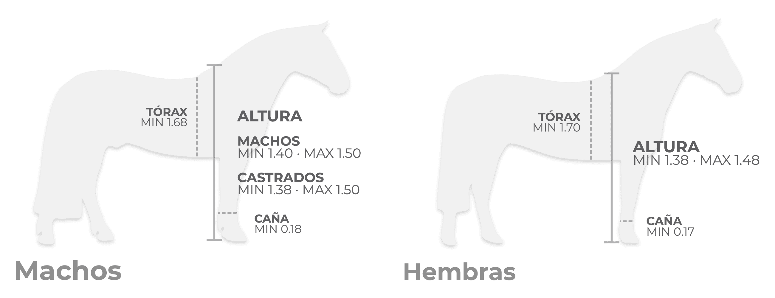 cuanto es un caballito
