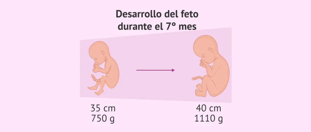 cuanto es un septimo