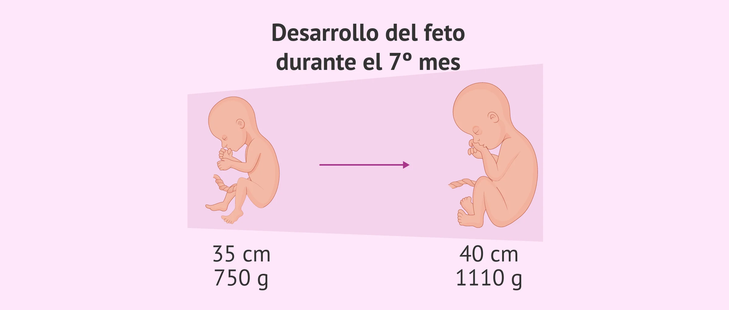cuanto es un septimo