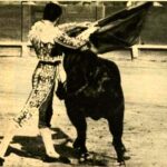 ¿Cuánto gana un torero? cuanto-gana-un-torero