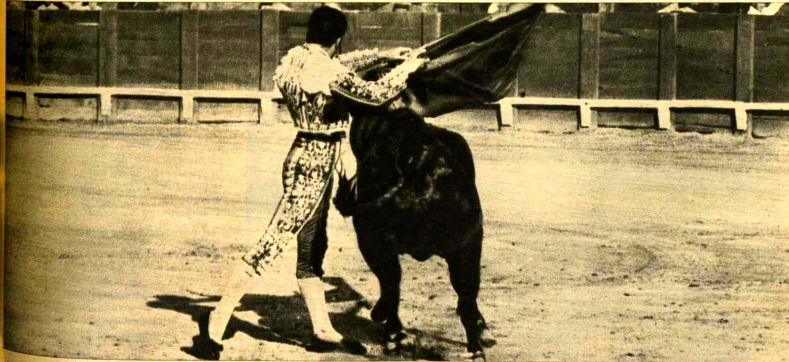 cuanto gana un torero