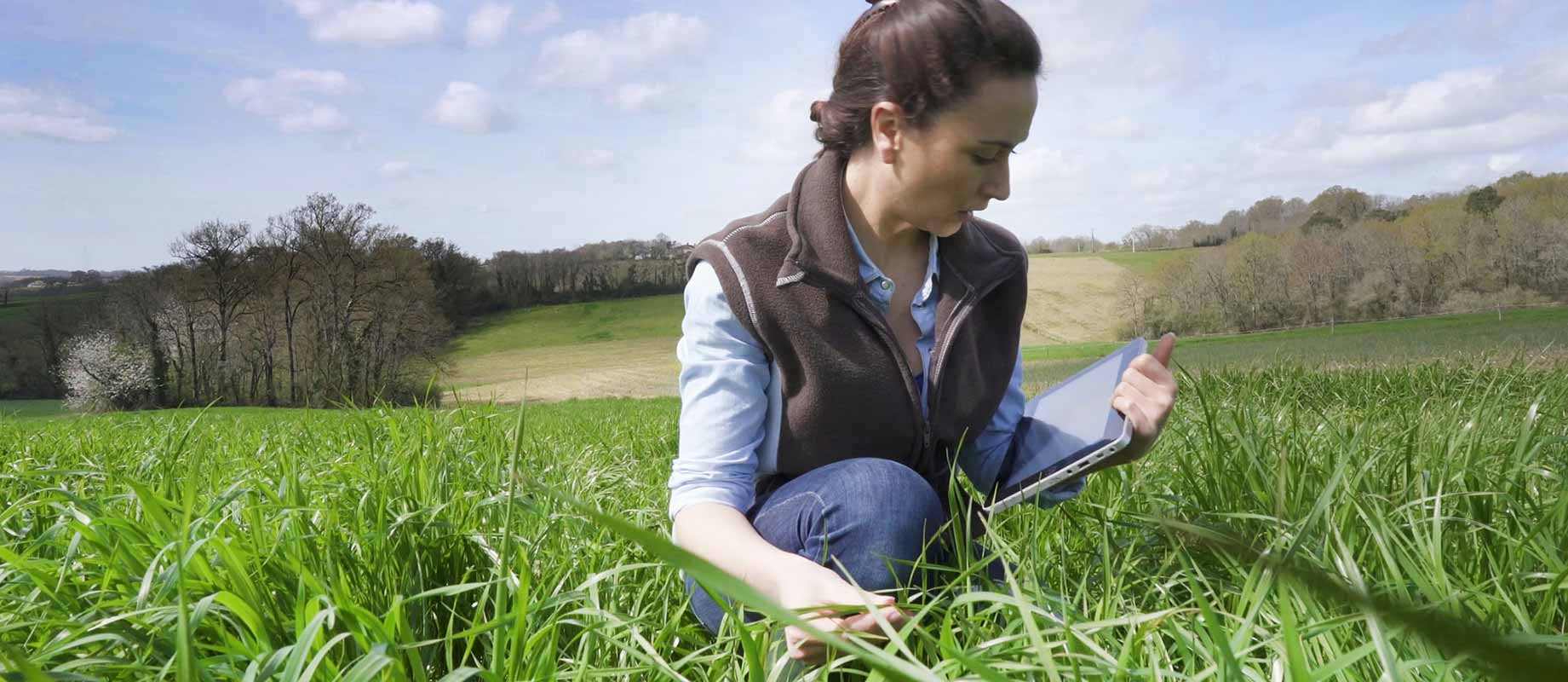 cuanto ganan los ingenieros agronomos