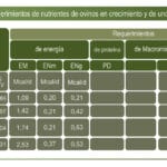 cuanto-ganan-los-nutriologos