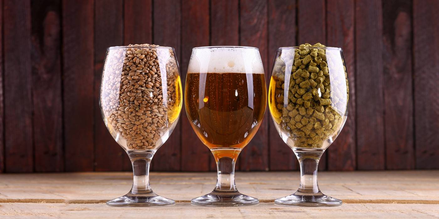 Blog 2 cuanto gluten tiene la cerveza
