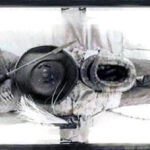 cuanto-mide-adan-cruz