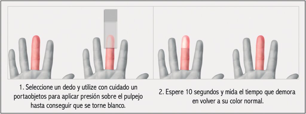 cuanto mide el dedo