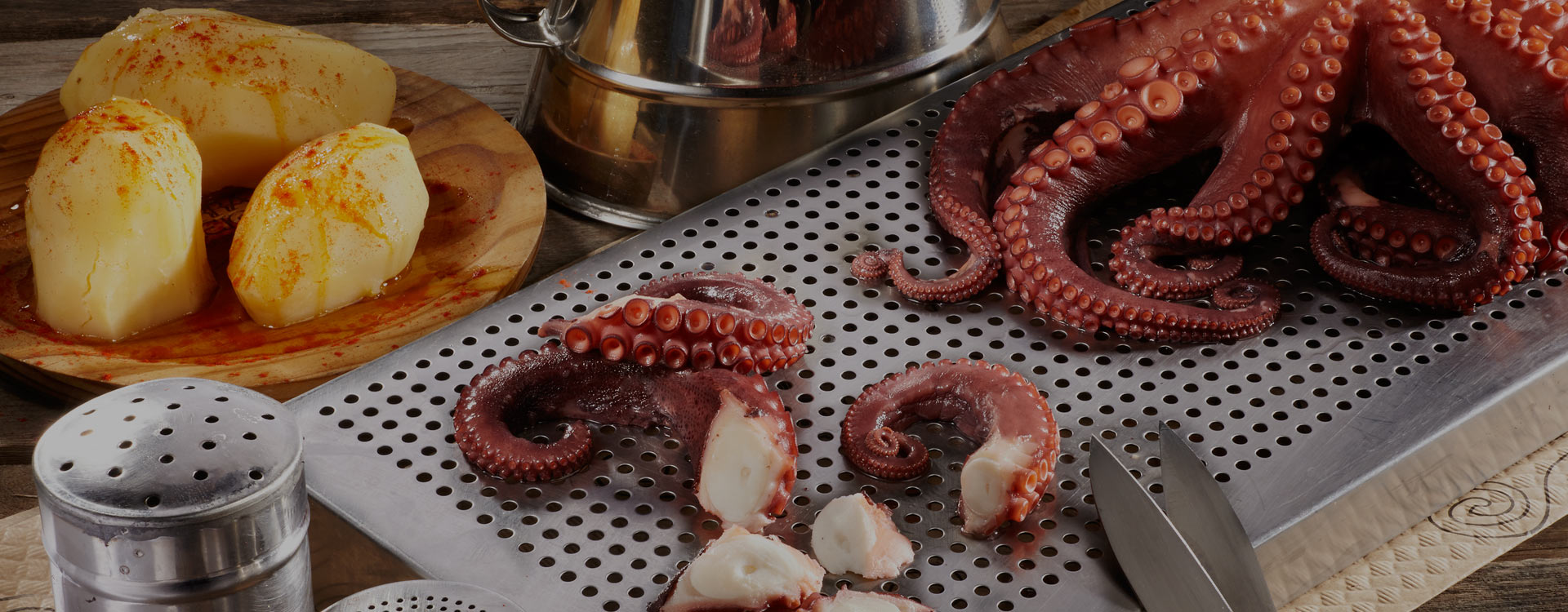 cuanto mide el pulpo pigmeo