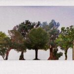 cuanto-mide-el-tepozteco